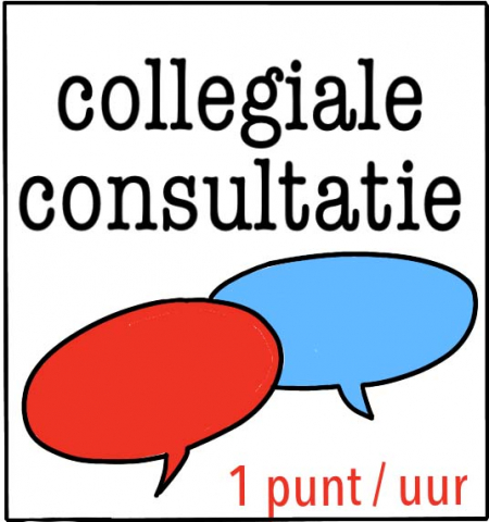 KP_actiiv_Collegiale consultatie